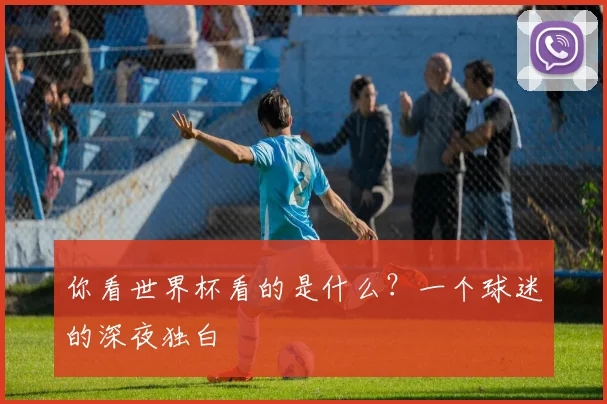 你看世界杯看的是什么？一个球迷的深夜独白