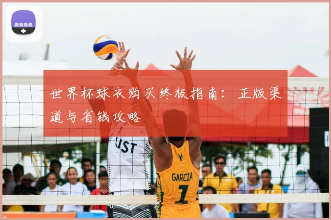 世界杯球衣购买终极指南:正版渠道与省钱攻略