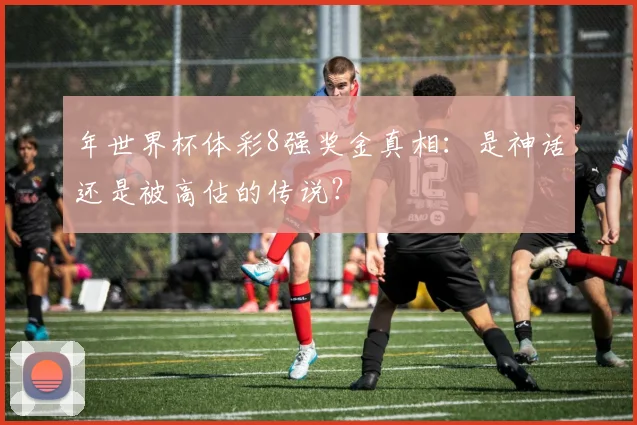 年世界杯体彩8强奖金真相：是神话还是被高估的传说？