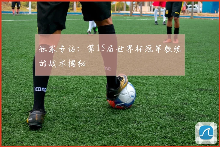 独家专访：第15届世界杯冠军教练的战术揭秘