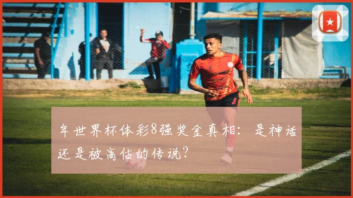 年世界杯体彩8强奖金真相：是神话还是被高估的传说？