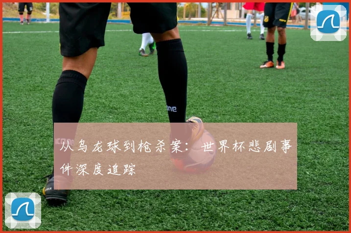 从乌龙球到枪杀案：世界杯悲剧事件深度追踪