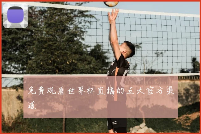 免费观看世界杯直播的五大官方渠道