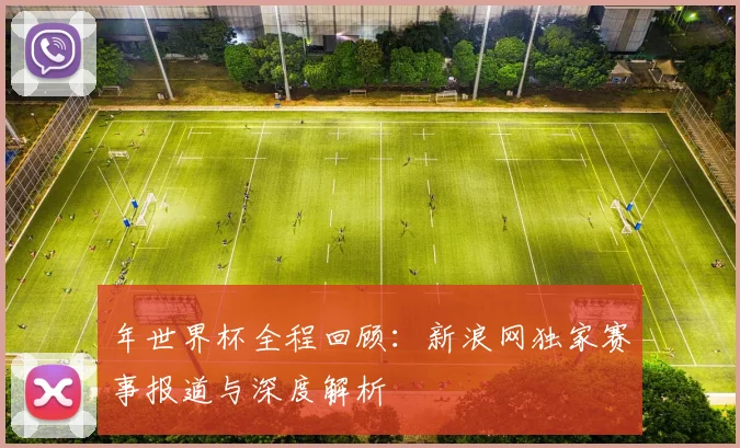 年世界杯全程回顾：新浪网独家赛事报道与深度解析