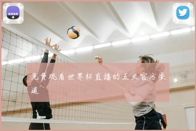 免费观看世界杯直播的五大官方渠道