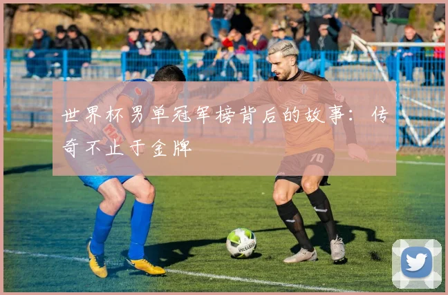 世界杯男单冠军榜背后的故事:传奇不止于金牌